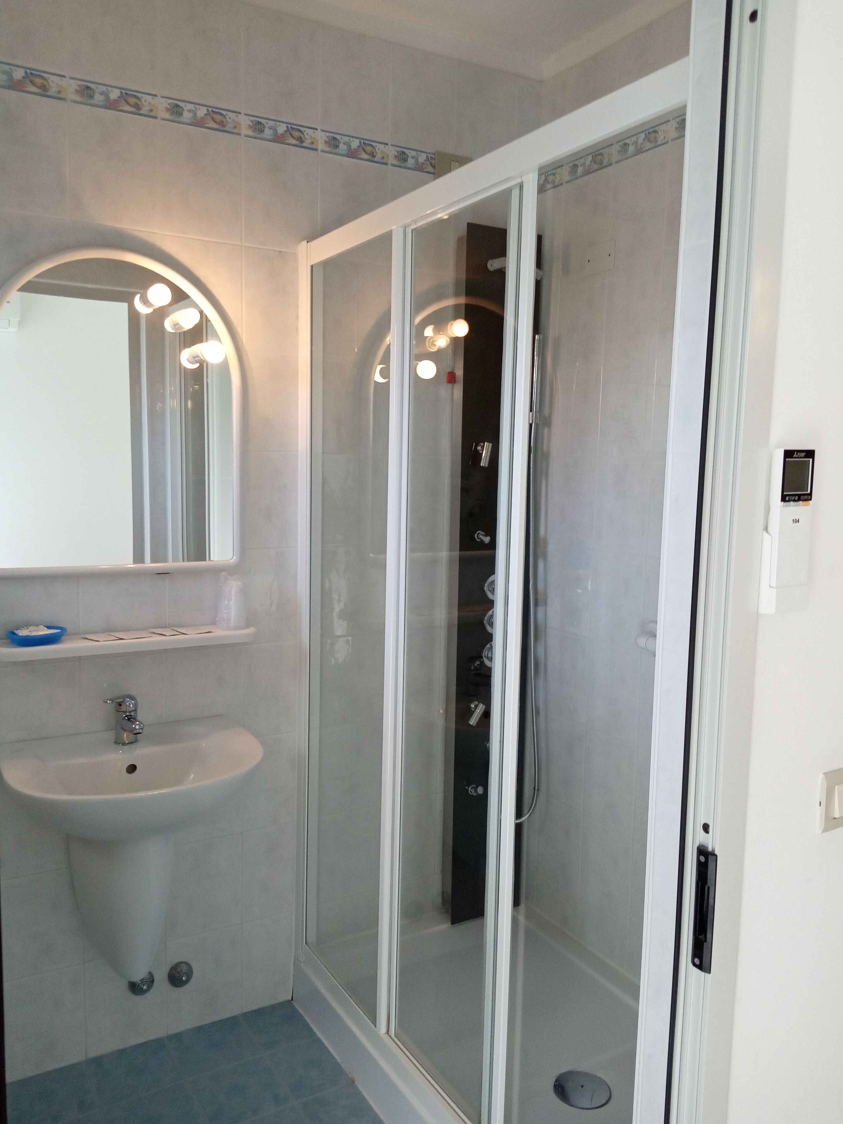 shower, free toiletries, hair dryer, bidet