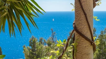 Beach/ocean view