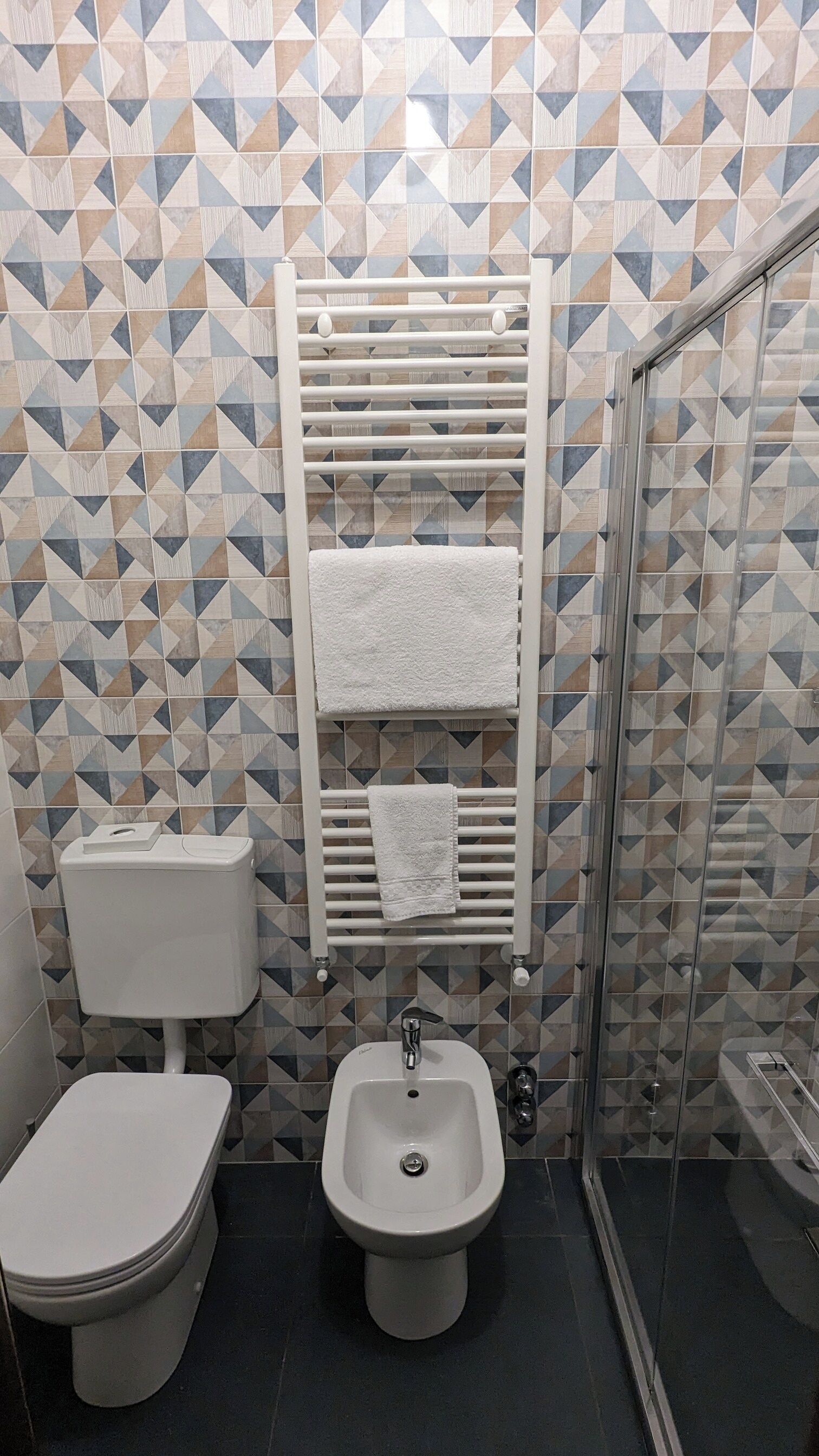 single room | bathroom | shower, free toiletries, hair dryer, bidet