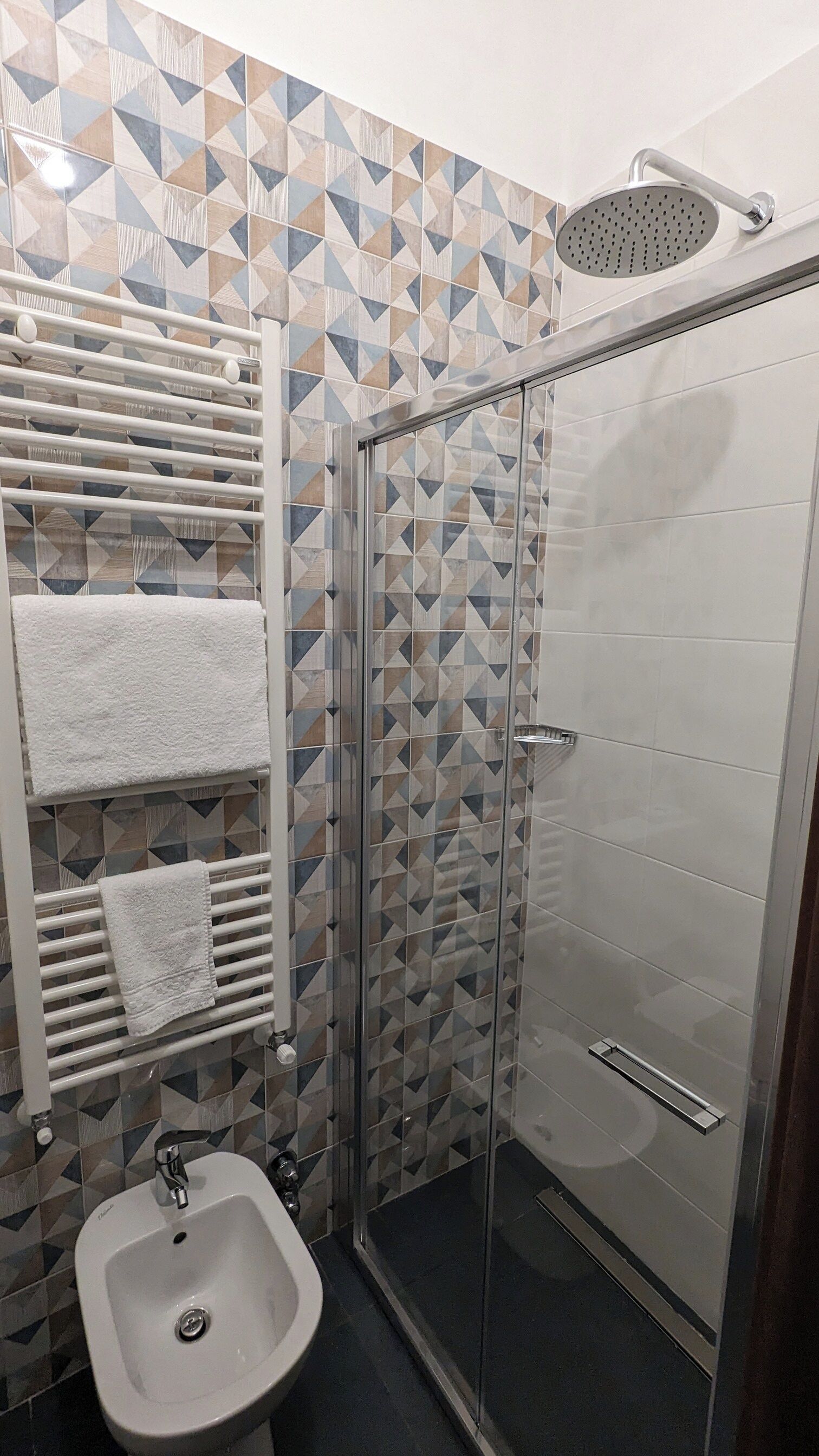 A bathroom with a shower, a bidet, and a towel rack.