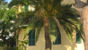 A building with a palm tree in front, a car parked nearby, and a bench.