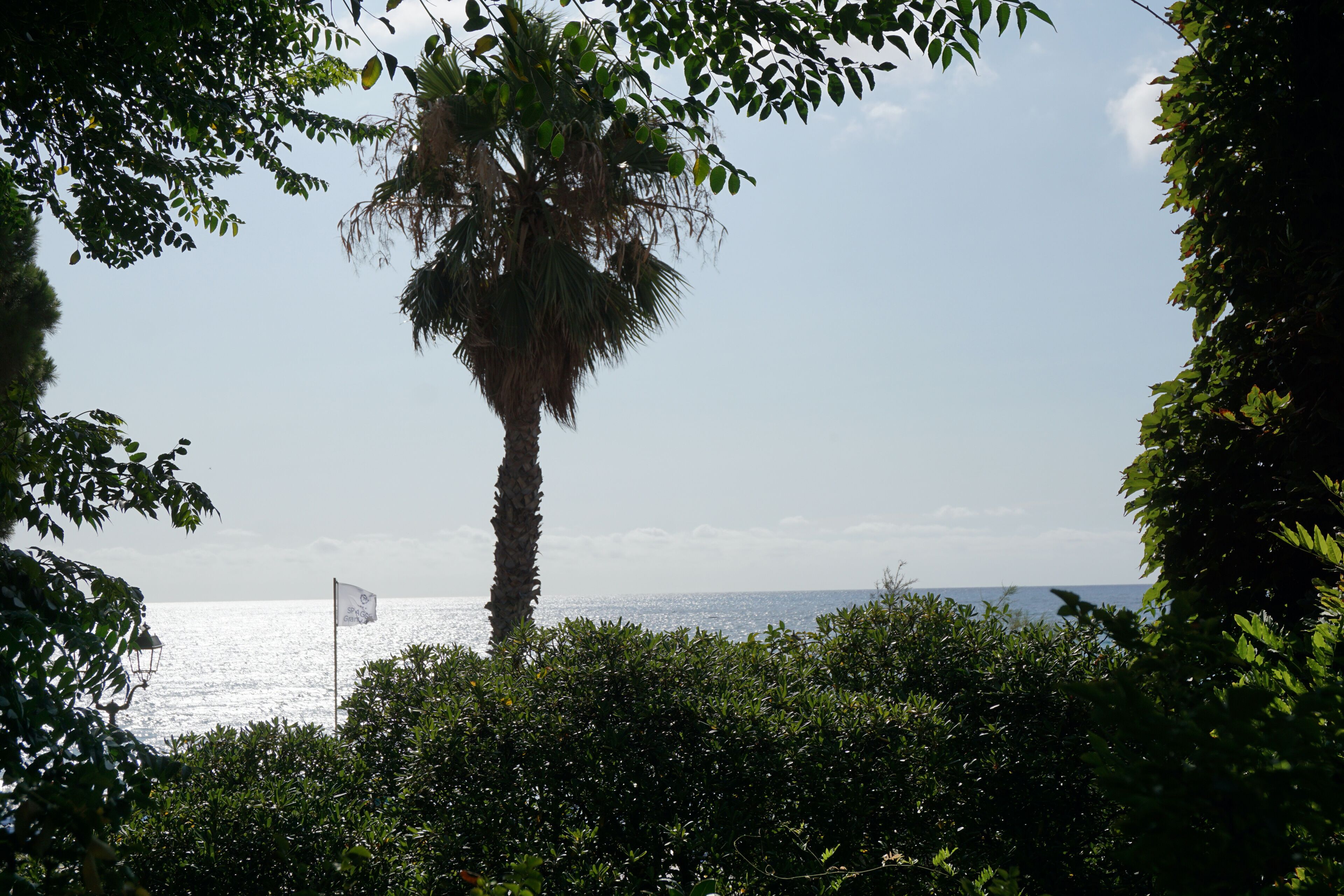 superior single room, 1 large single bed | view from room