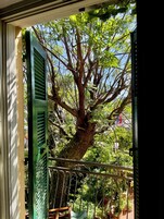 经典双人房或双床房, 无烟房, 阳台 | 花园景观