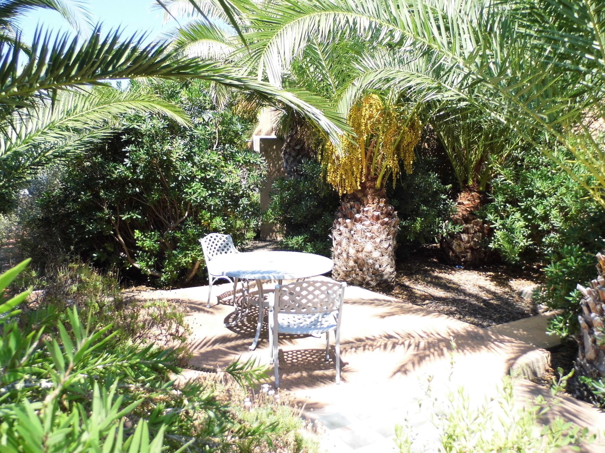 Een tuin met een tafel en stoelen, omringd door diverse planten en een palmboom.