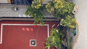 A red tiled wall with a window, a small fan, and various green plants. - Hostal San Felipe (Marbella)