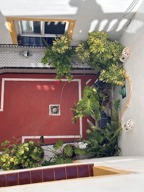 Terrace/patio - Hostal San Felipe (Marbella)