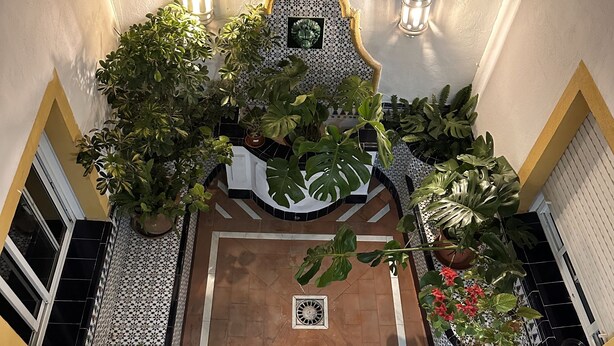 A spacious atrium with a tiled floor, potted plants, and a decorative ceiling. - Hostal San Felipe (Marbella)
