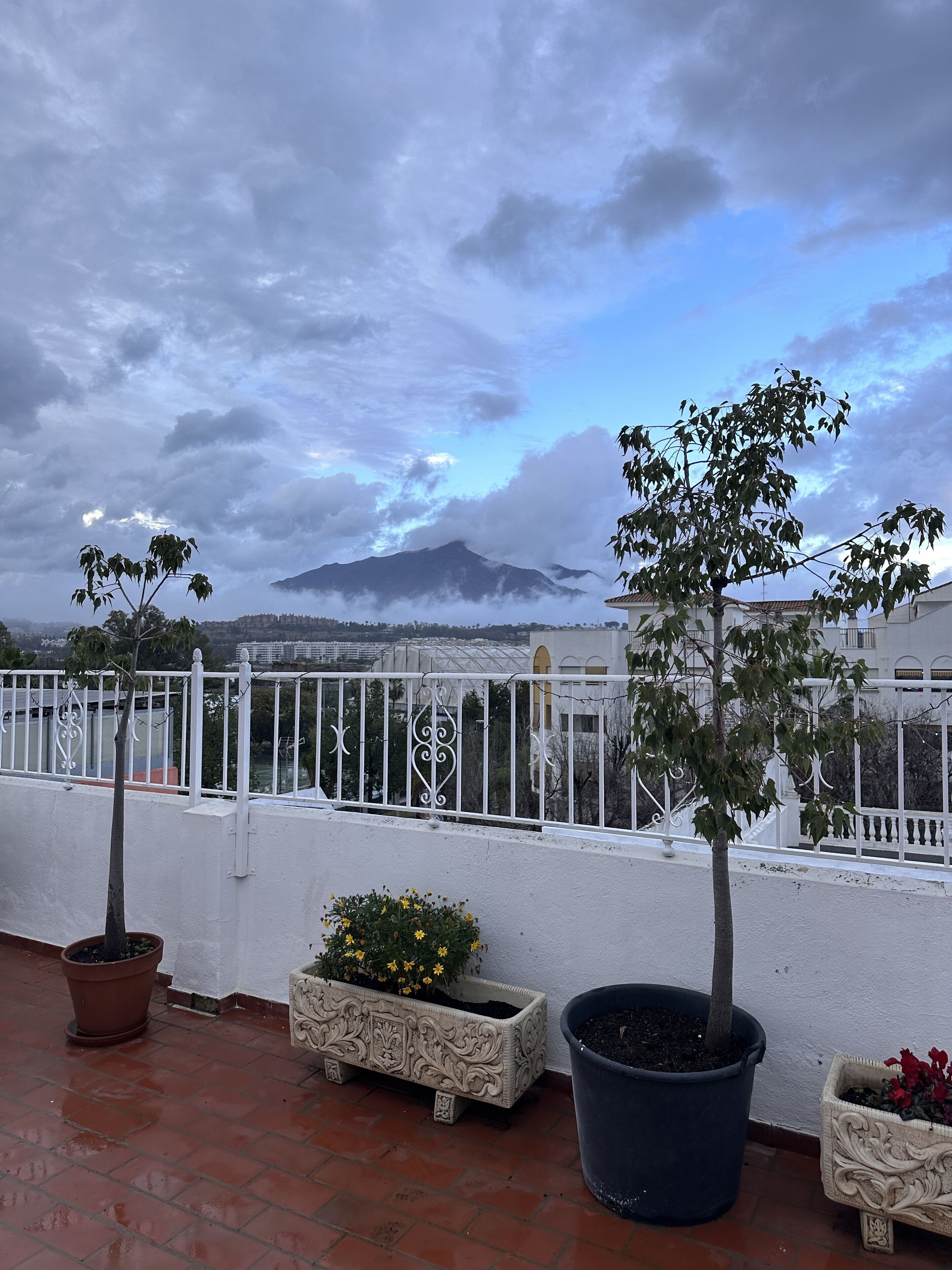 ベーシック ツインルーム | 部屋からの景観