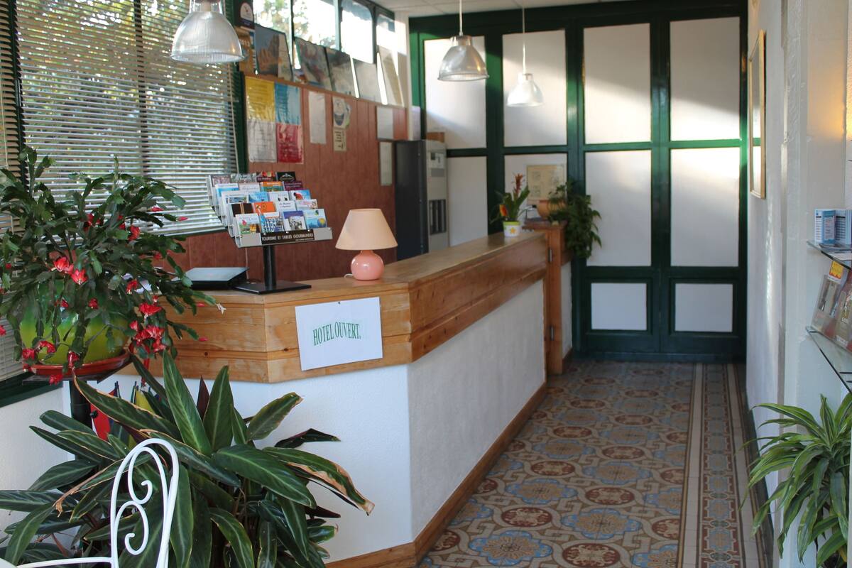 A hotel reception area with a wooden counter, a sign reading "HOTEL DE LOUVRE," and various plants.