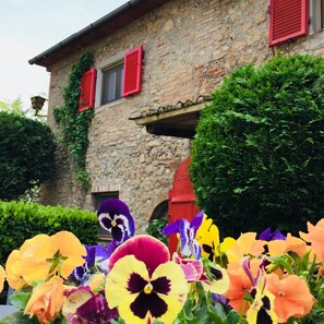 Exterior detail - Agriturismo La Selva (Siena)