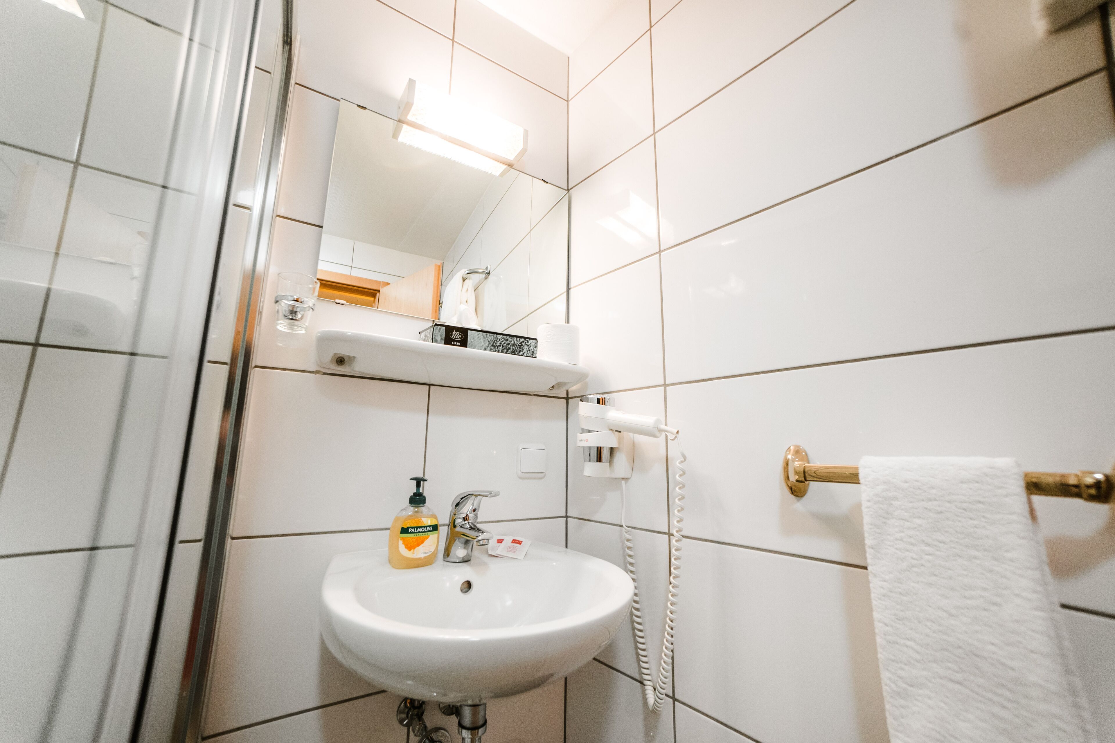 single room | bathroom | shower, hair dryer, towels