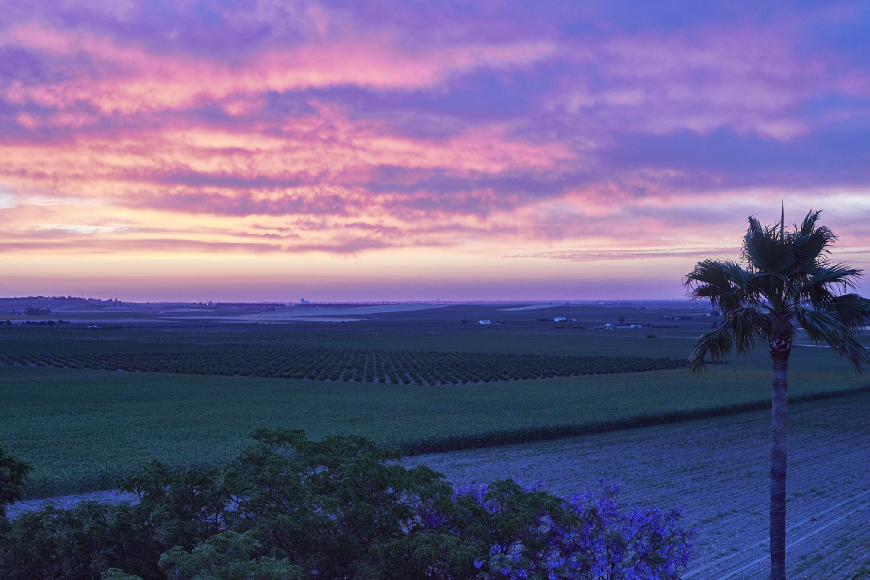 land view from property