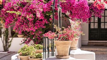 Terrazza/patio