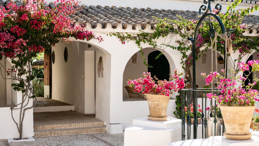 Hacienda de San Rafael by ALUZ Collection