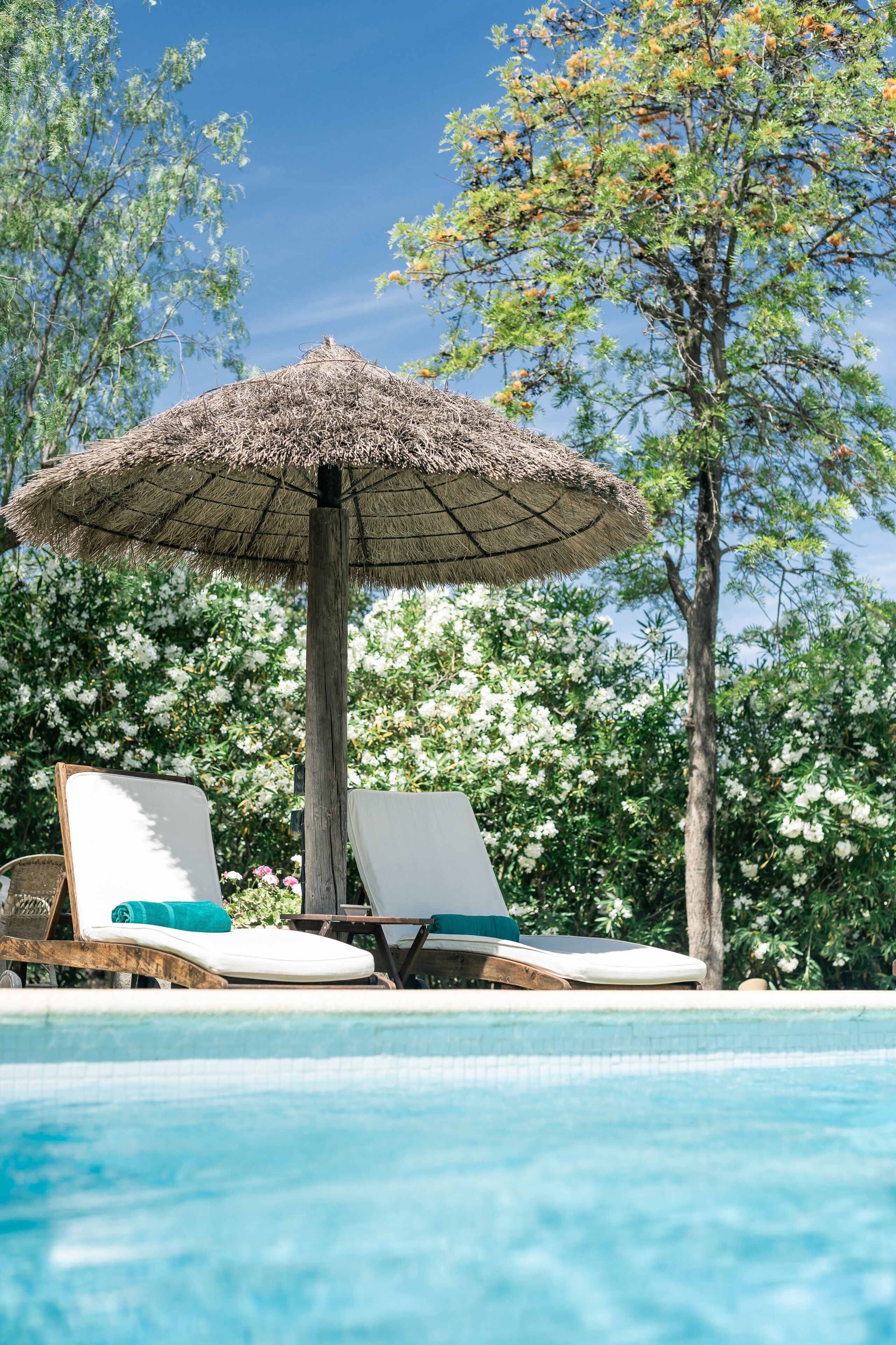 seasonal outdoor pool, pool loungers