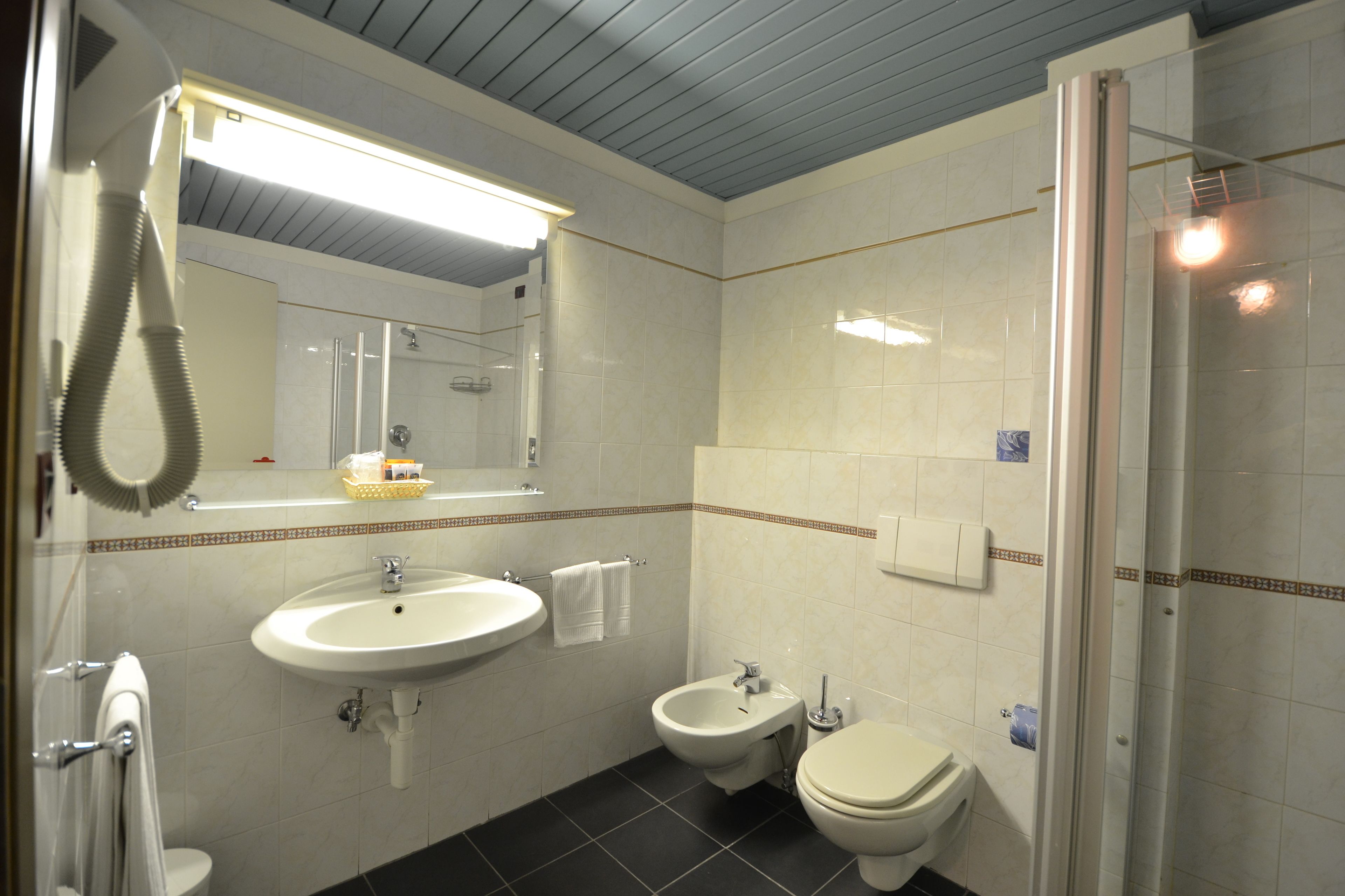 shower, hair dryer, bidet, towels