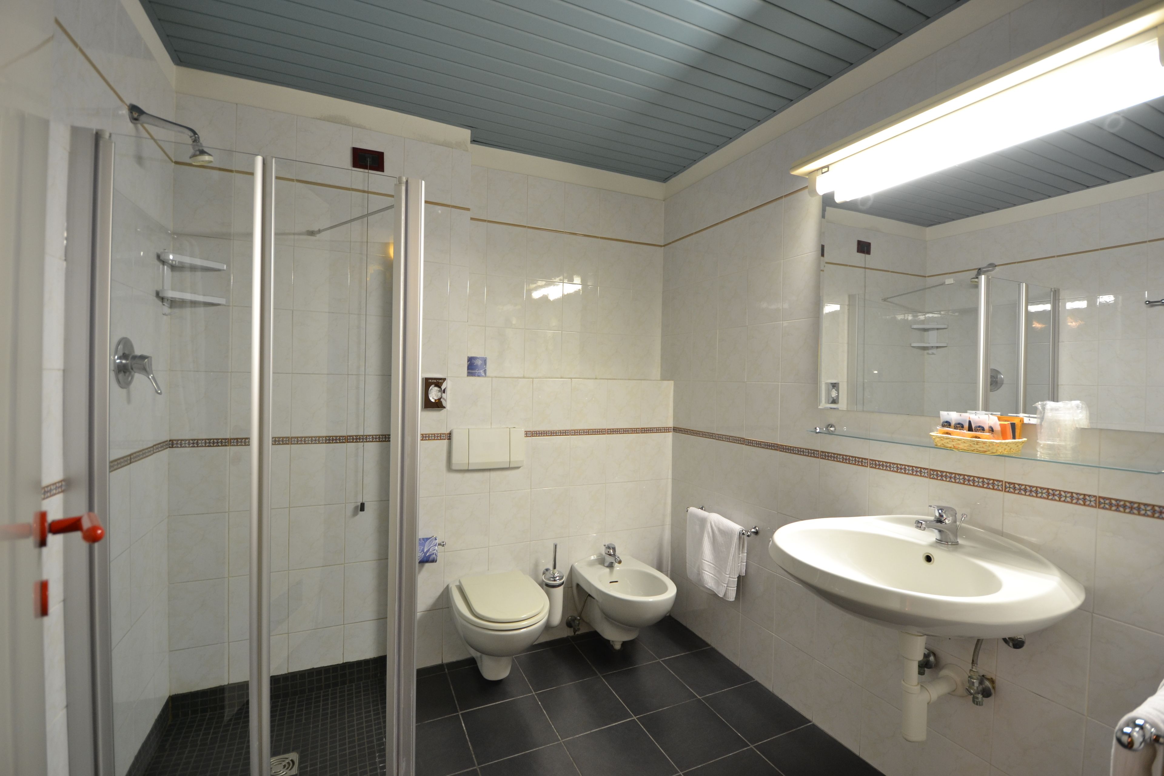 shower, hair dryer, bidet, towels