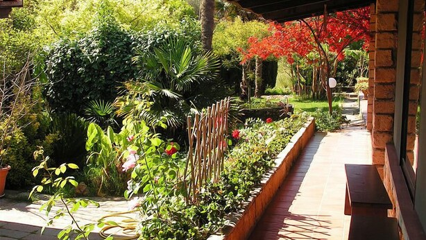 A covered outdoor area with a brick wall, a wooden bench, and various plants and trees. - Agriturismo Agave (Alghero)