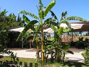 Terrain de lâhĂ©bergement