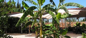 Agriturismo Agave