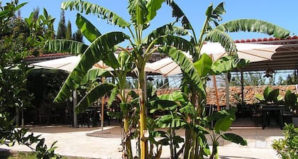 Agriturismo Agave