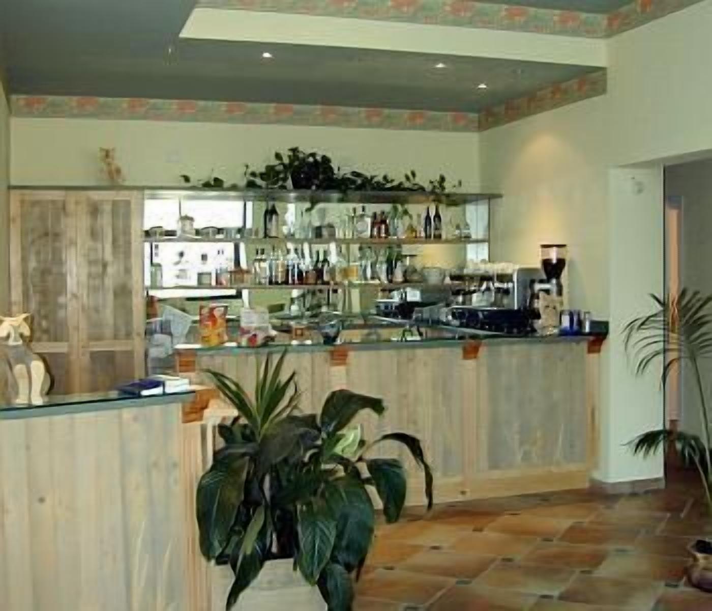 A spacious kitchen with a wooden counter, various kitchen appliances, and a large potted plant.