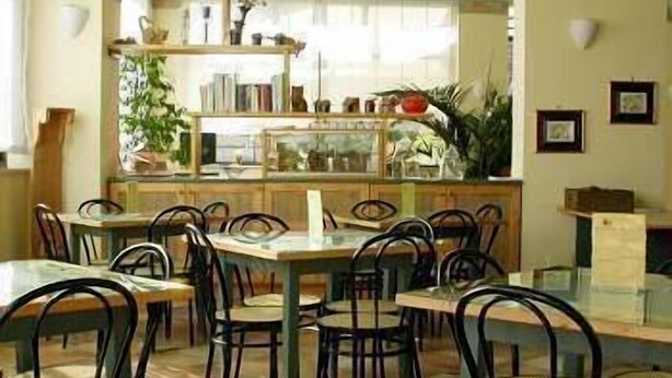 Un comedor con varias mesas y sillas, una zona de cocina con estantes y plantas, y un ventanal que proporciona luz natural.