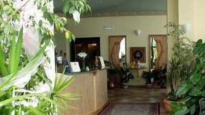 Un área de recepción con suelo de baldosas, un mostrador de atención al cliente y plantas en macetas.