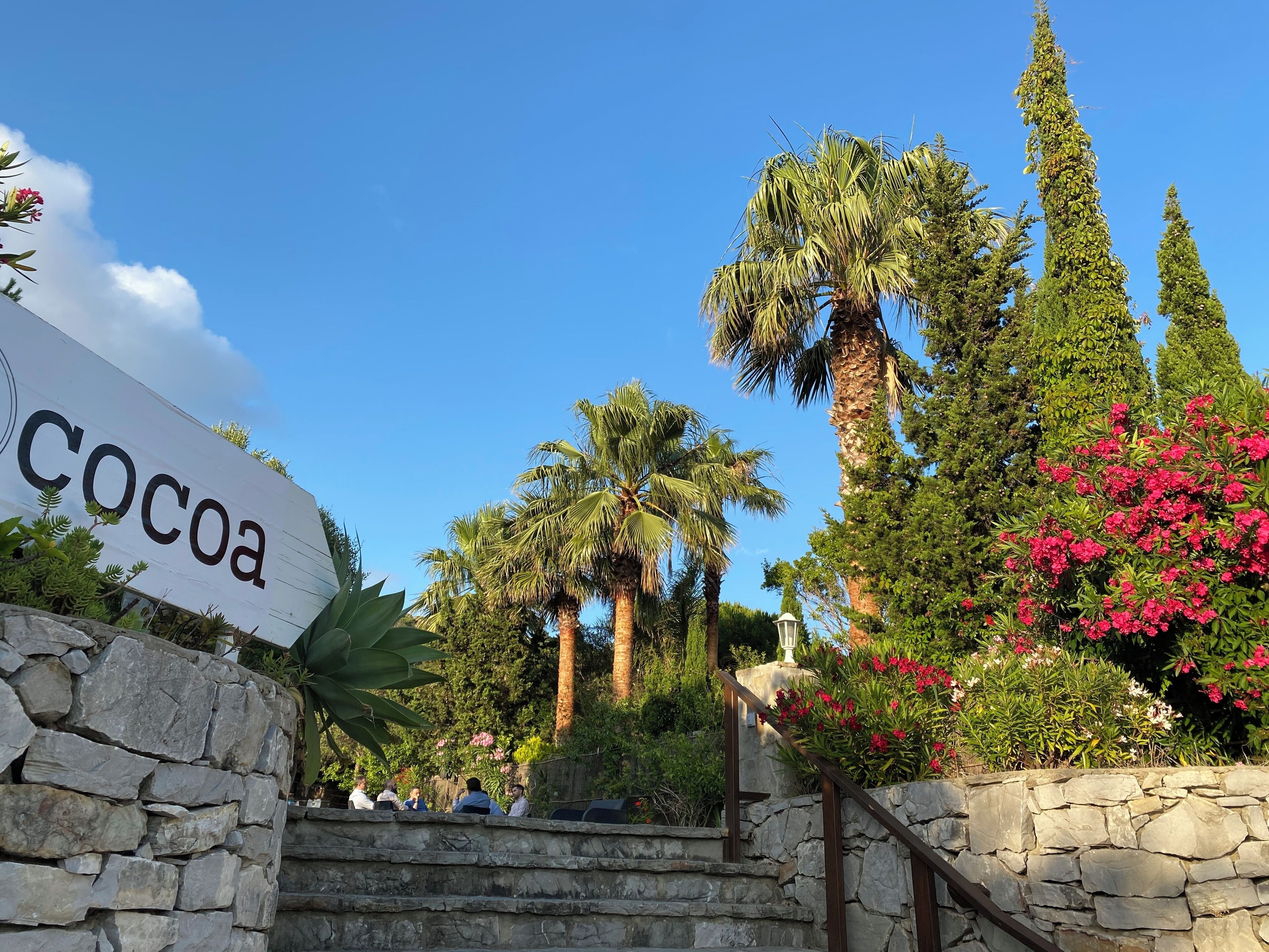 seasonal outdoor pool, pool umbrellas, pool loungers