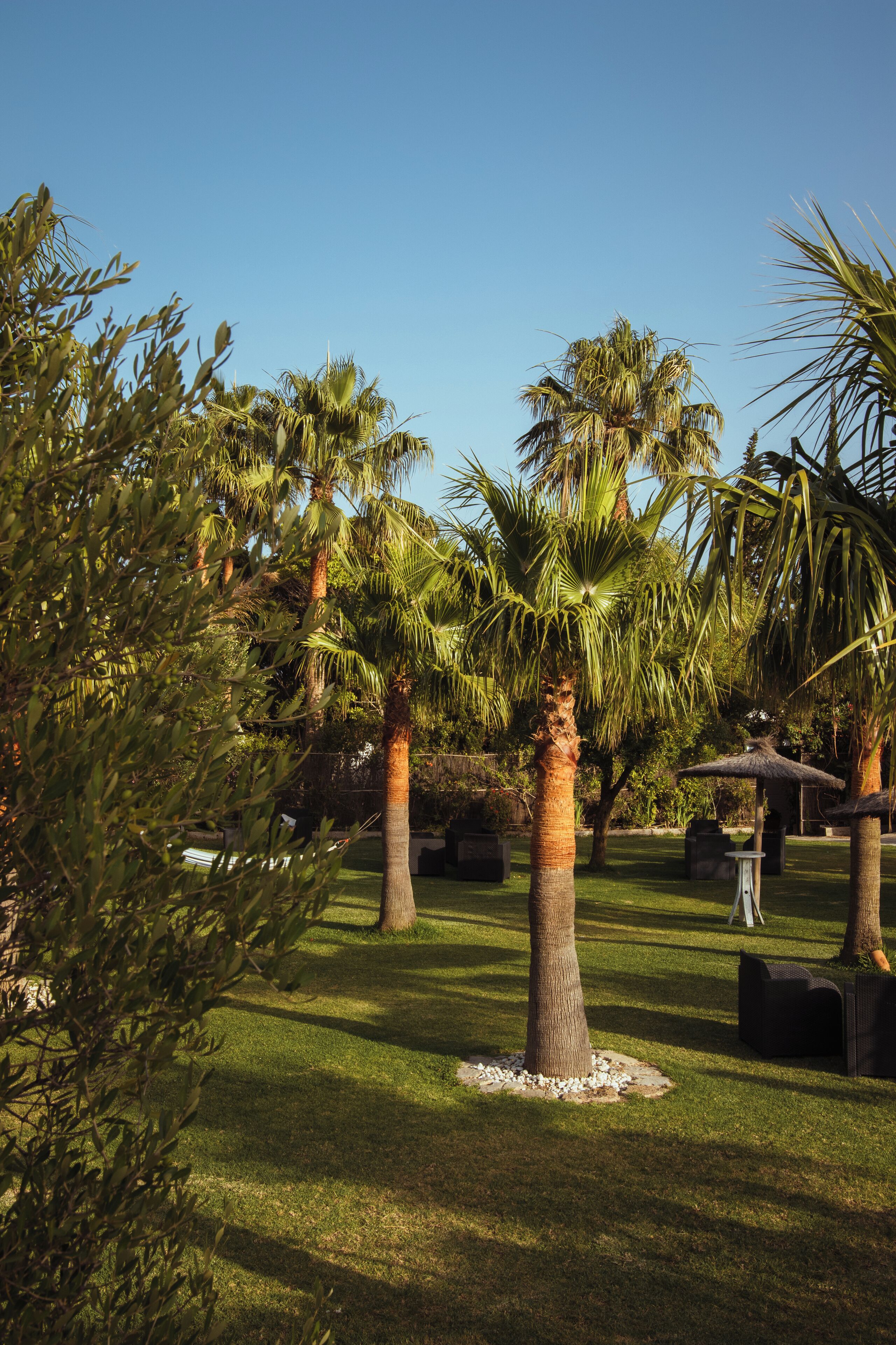 Una piscina al aire libre de temporada, sombrillas, tumbonas