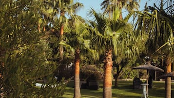 Seasonal outdoor pool, pool umbrellas, pool loungers