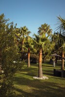 Una piscina al aire libre de temporada, sombrillas, tumbonas