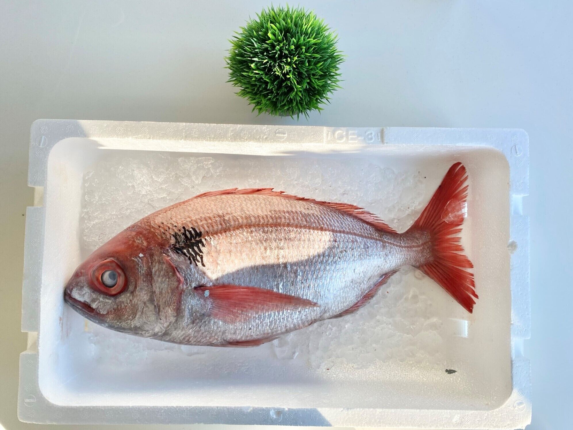 breakfast, lunch and dinner served