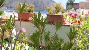 Un jardín en la azotea con plantas en macetas y vistas a un paisaje montañoso.