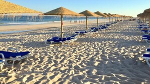 Una platja amb files de gandules blaves i sombrerets de palla.