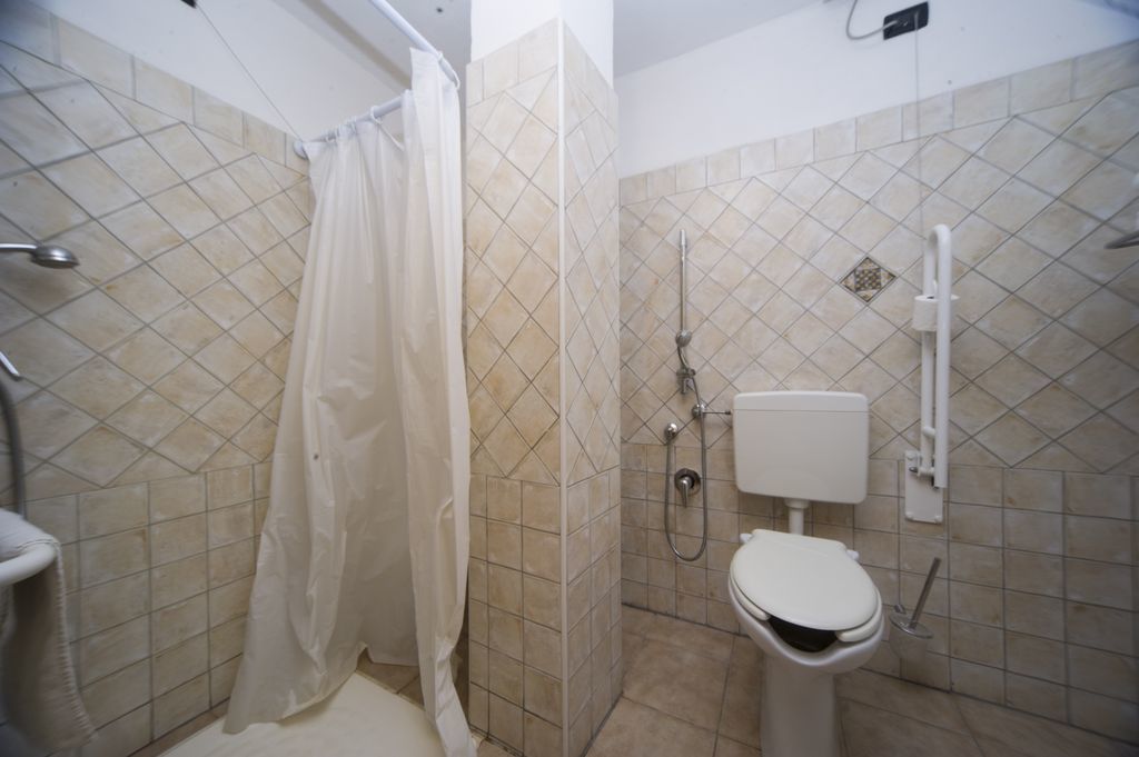 A small bathroom with a toilet, shower, and a curtain.