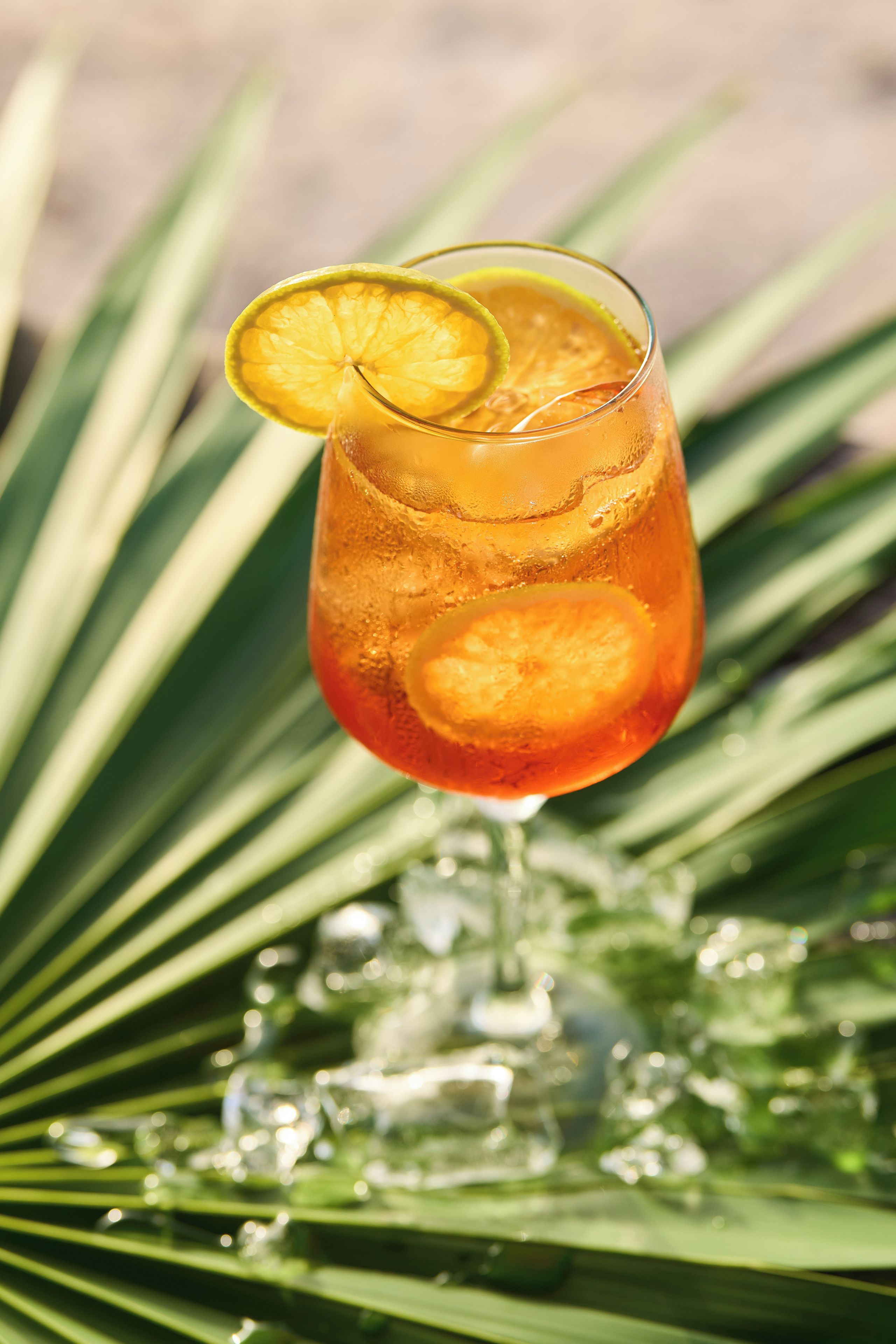 A glass of amber-colored beverage with a slice of fruit garnish, placed on a surface with green foliage.