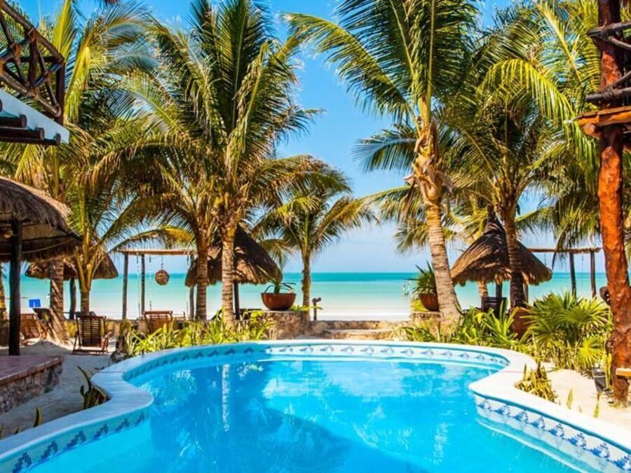 Zona de piscina con vista a la playa, rodeada de palmeras y tumbonas.