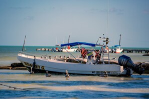 Un barco llamado 'Shannon G.' fondeado cerca de un muelle, con otros barcos y aves al fondo.