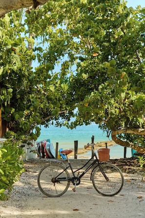 A bicycle parked under a tree with a beach and boats in the background. - Holbox Dream Beach Front Hotel  (Isla Holbox)