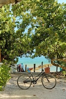 Una bicicleta estacionada bajo un árbol, con una playa y barcos al fondo.