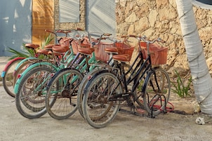 A row of bicycles parked against a textured wall.