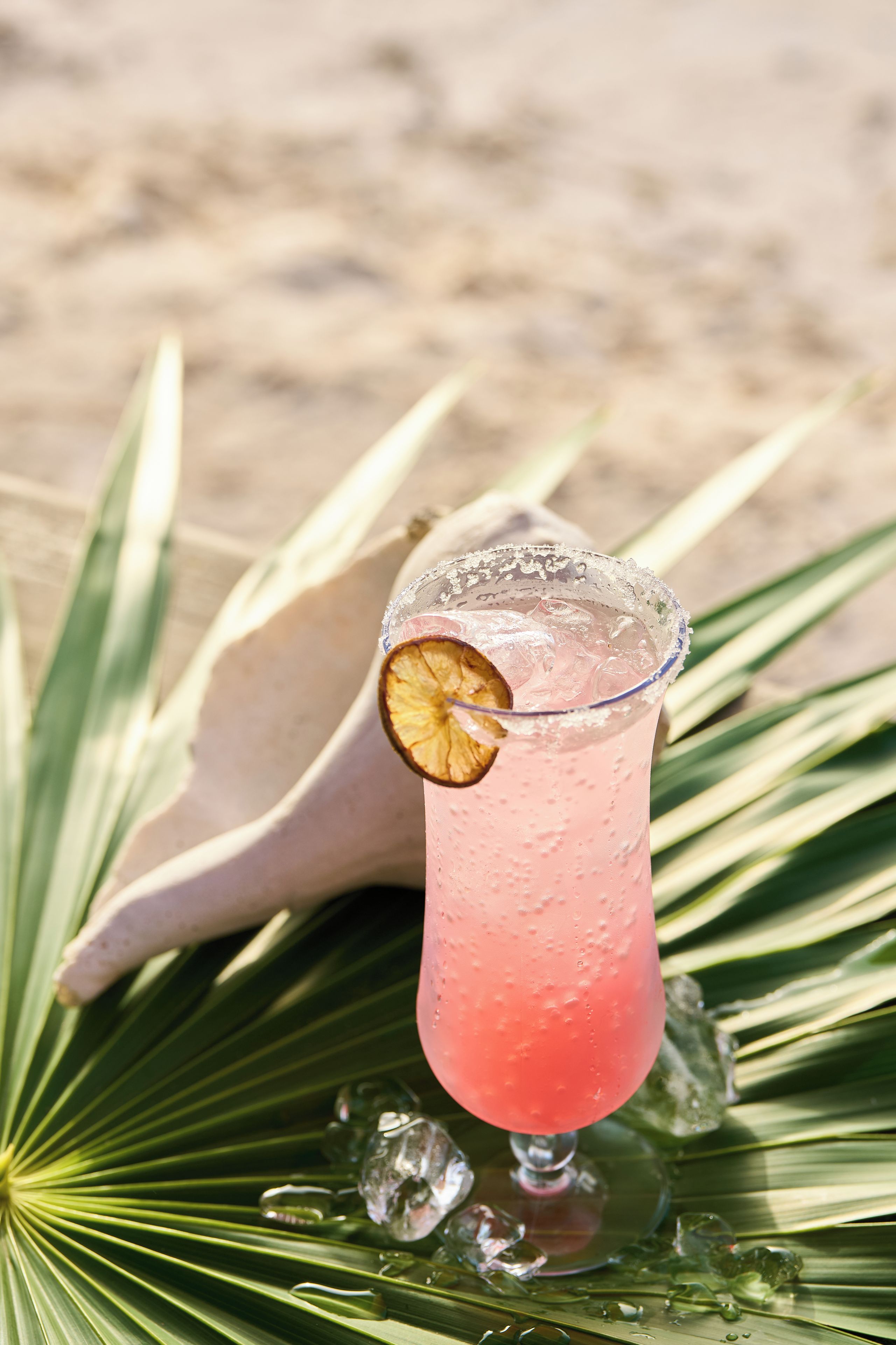 A glass with a pink beverage, ice cubes, and a slice of fruit on a tropical leaf.