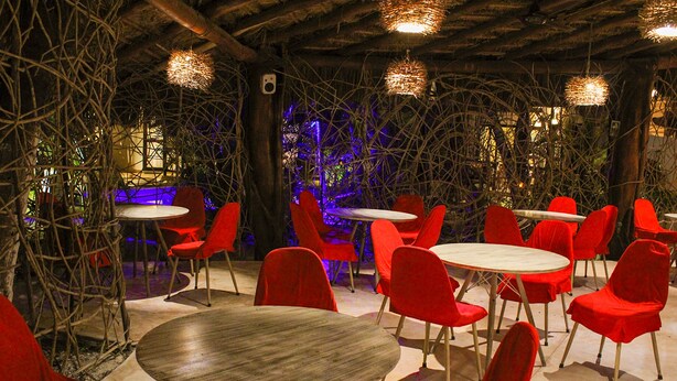 A restaurant with round tables and red chairs, surrounded by natural elements like branches and vines. - Holbox Dream Beach Front Hotel  (Isla Holbox)