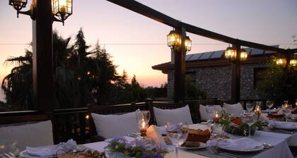 Mandarin & Mango Boutique Hotel