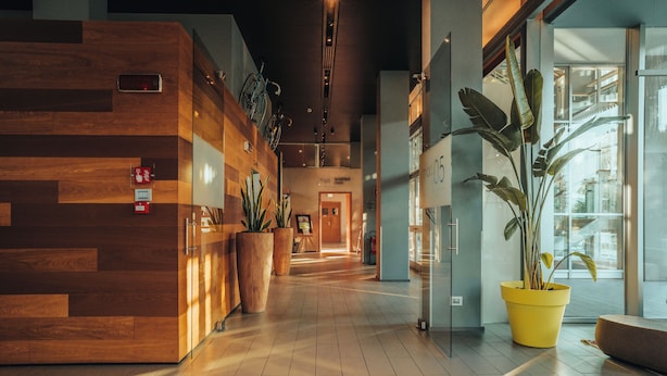 A modern lobby with wooden paneling, potted plants, and a glass wall with a view.