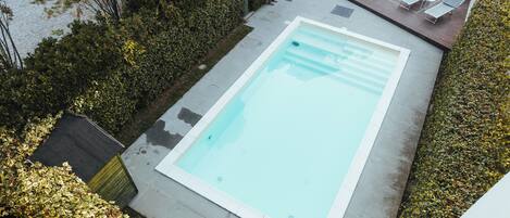 A rectangular swimming pool with a tiled edge, surrounded by a hedge and a wooden deck with lounge chairs.