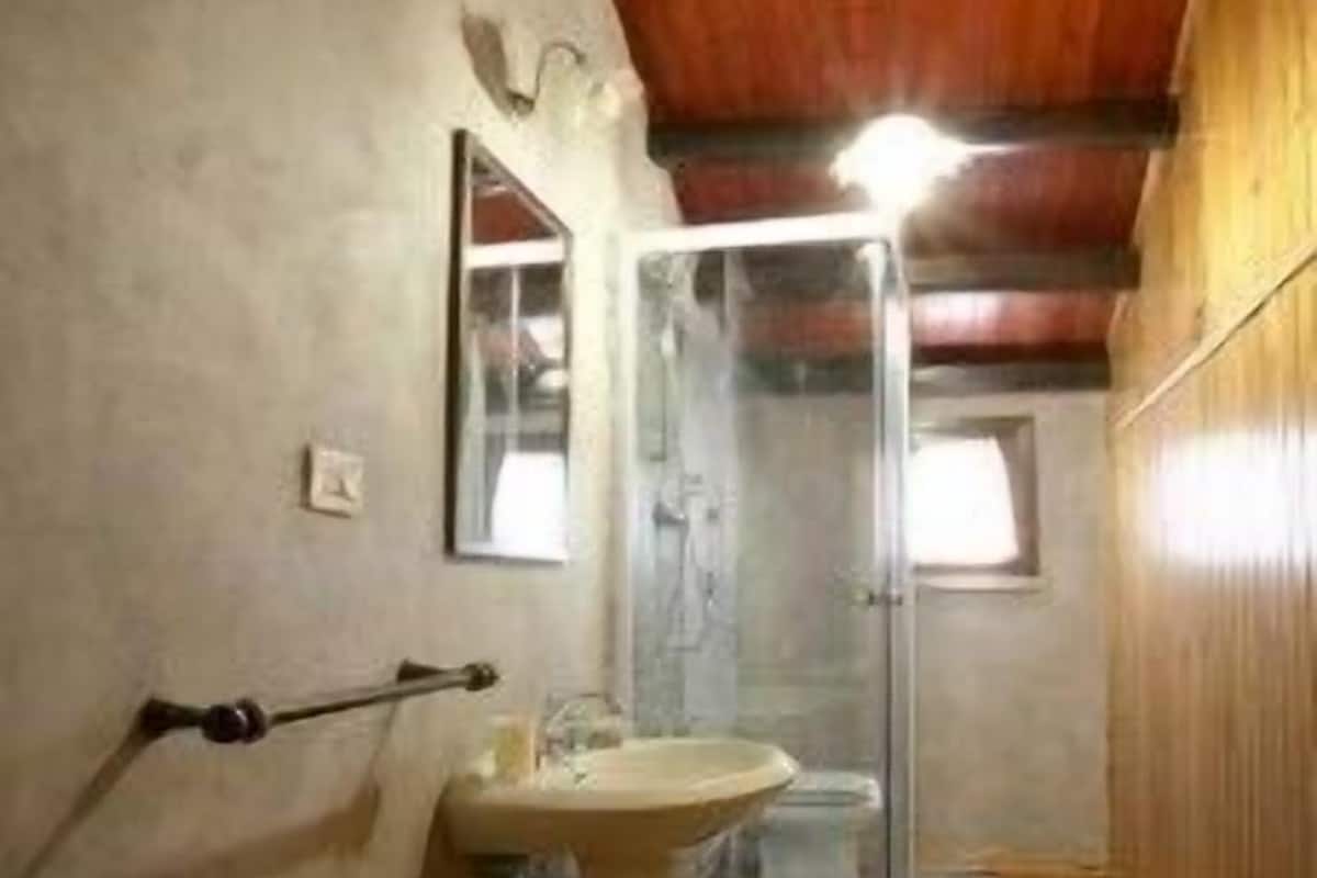 Shower, free toiletries, hair dryer