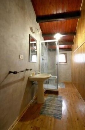 Shower, free toiletries, hair dryer