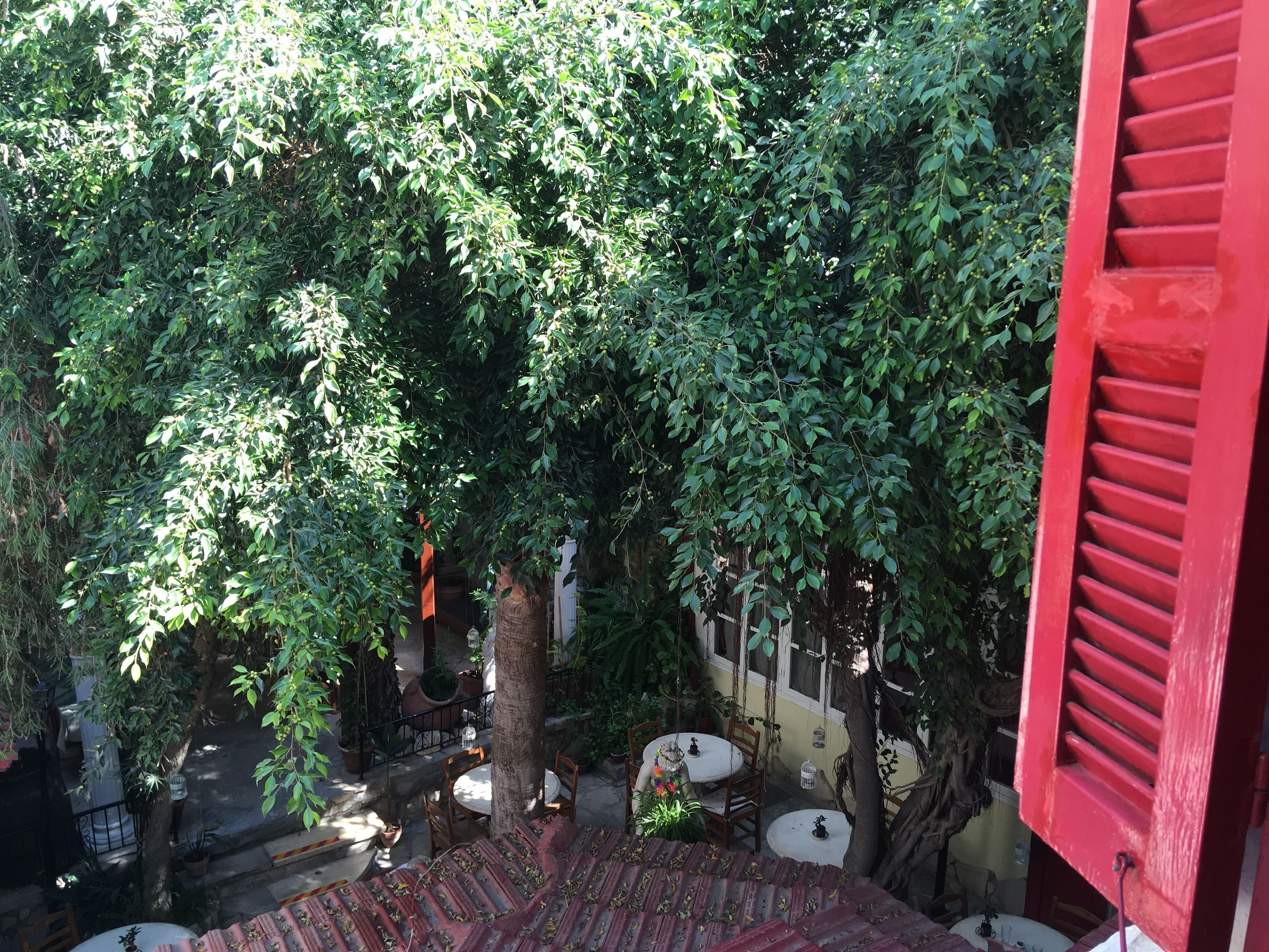 Foto - Kiniras Traditional Hotel & Restaurant